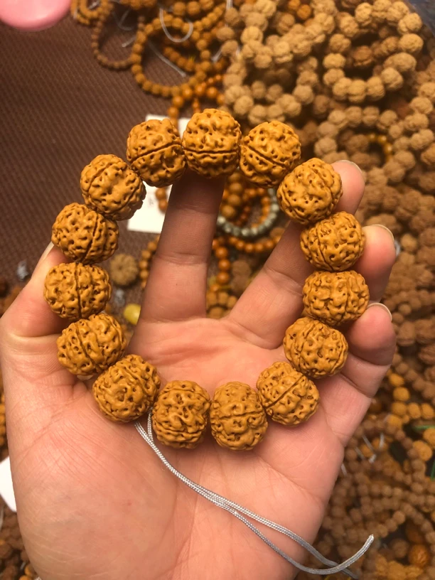帝王龙手串17-18mm左右金刚菩提手串小金刚菩提籽粗筋爆肉梅花桩