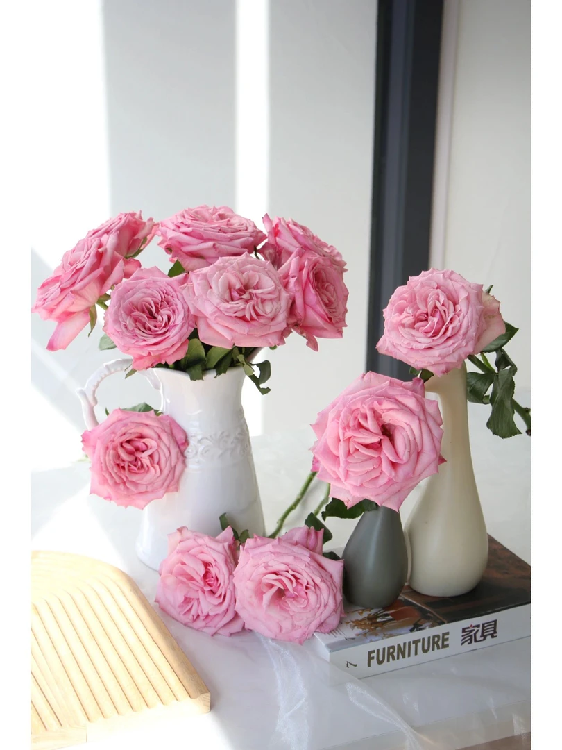 两件包邮！粉之研20支(20％以内不售后)