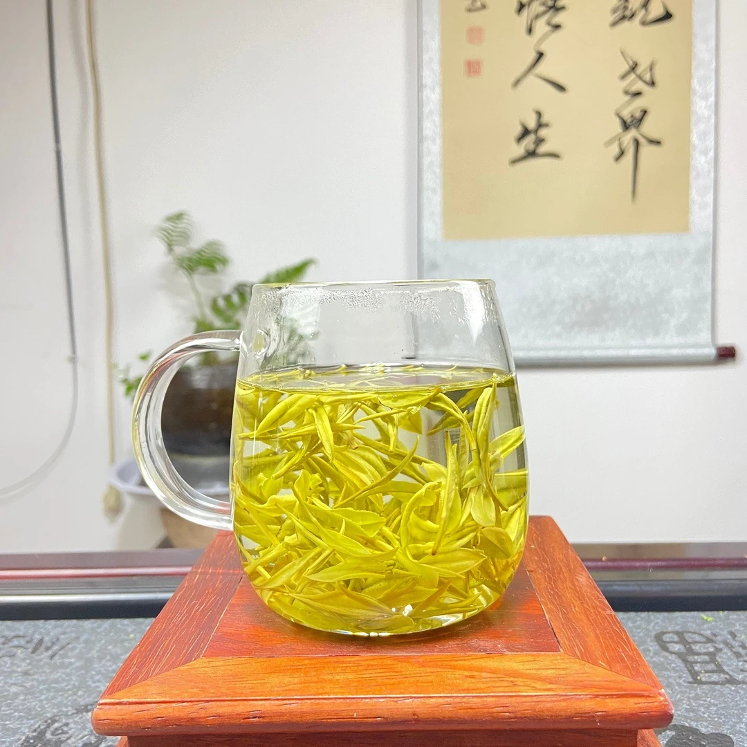 六姐家的茶【H13】2025年熊猫乃白茶，原产地安吉茶品奶香好喝小众茶