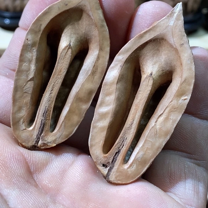 文玩核桃把件开半