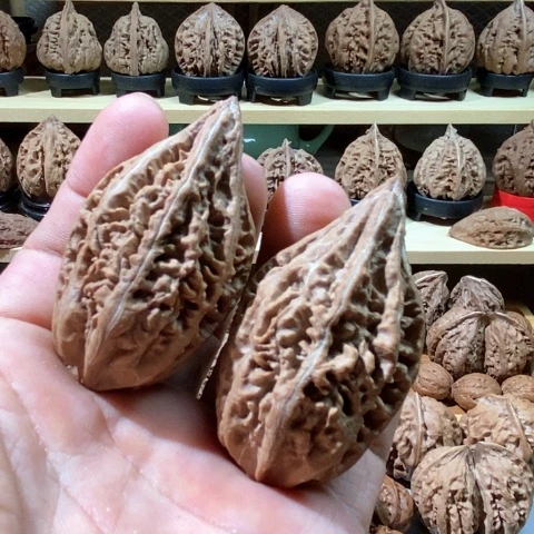 文玩核桃把件珊瑚塔