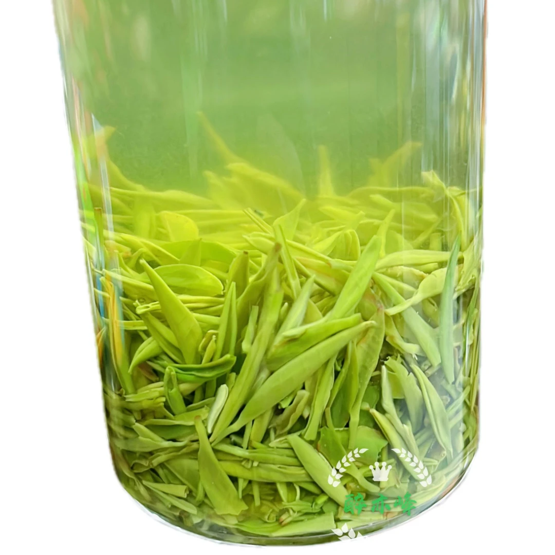 2025年新茶绿茶明前高山芽毛尖