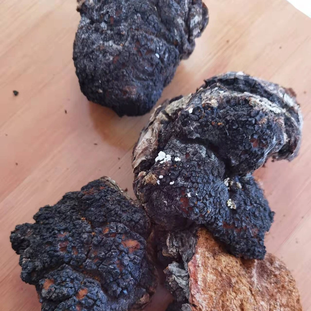 饶河初级农副产品桦树蓉小块（500克）散装称重