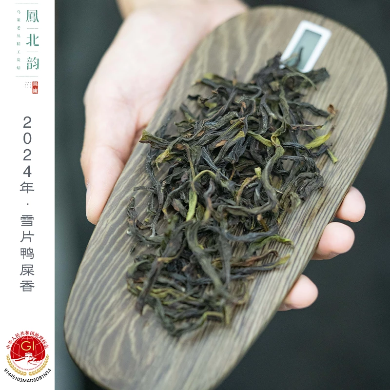 [雪片鸭屎香] 2024年新茶 非遗传承人传统炭焙两次 潮州凤凰单丛