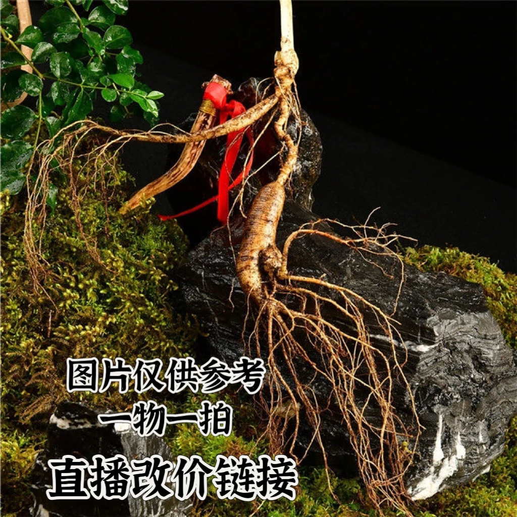 长白山新鲜林下参改价链接，具体发货实物以直播间实物为准