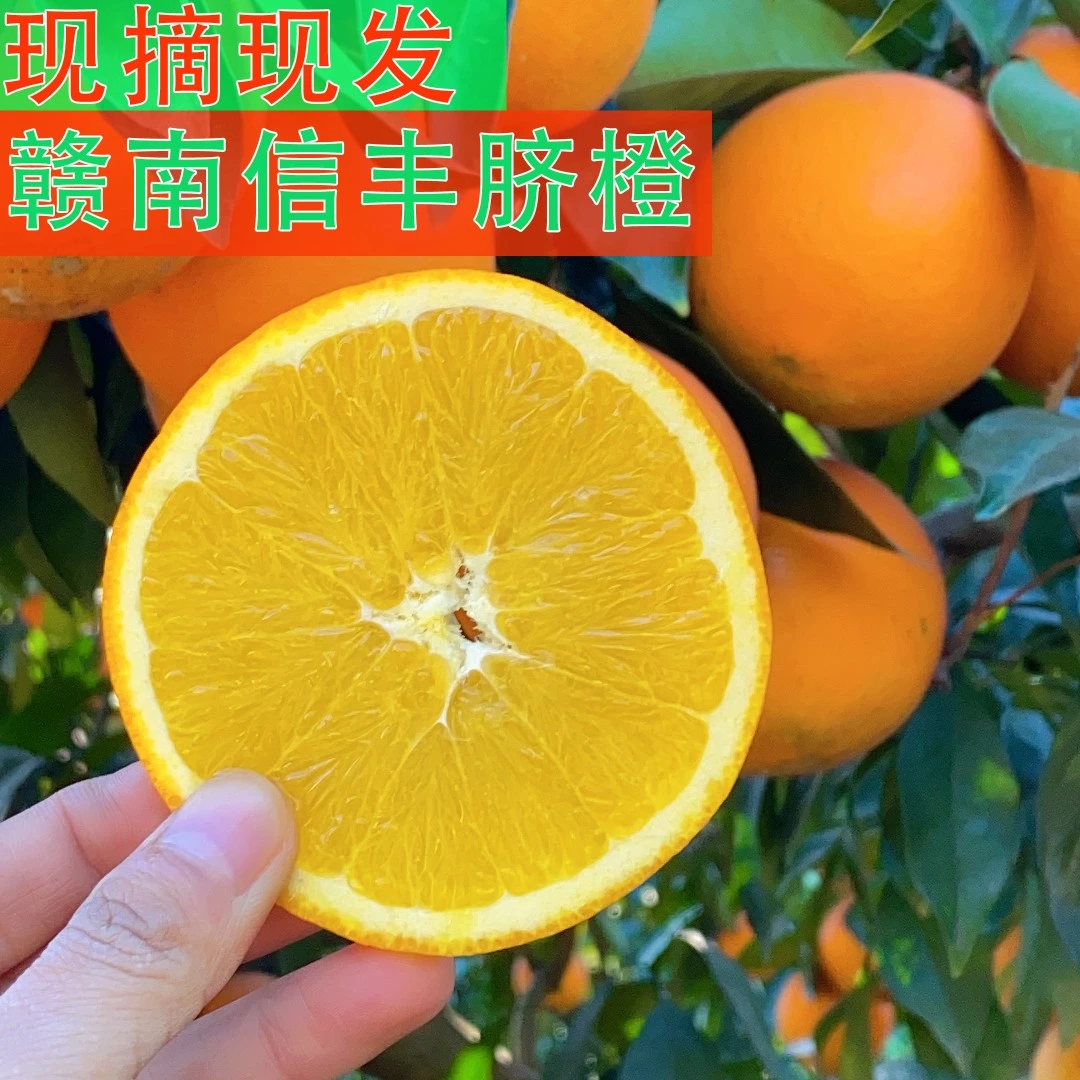 【达人专属】5斤10斤装赣南信丰脐橙新鲜水果现摘现发香甜爆汁
