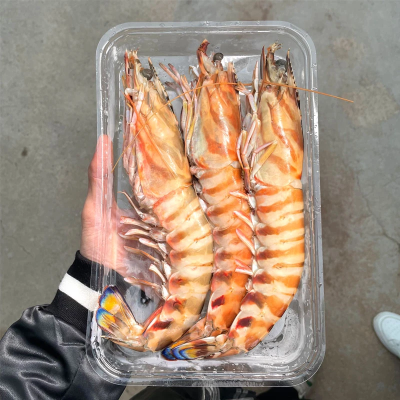 (改价链接）台州海捕竹节虾 大号 1000g