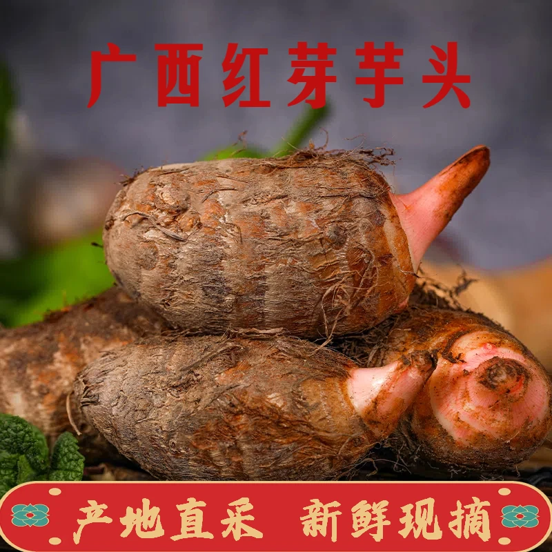 广西红芽芋头仔当季农户自种农产品新鲜现摘产地整箱直发香甜软糯