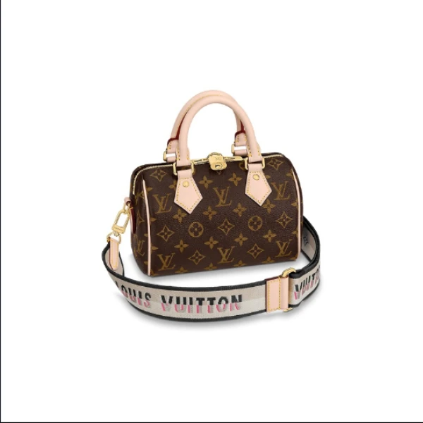 全新未使用 LouisVuitton/路易威登 SPEEDY 20/黑色/经典老花单肩