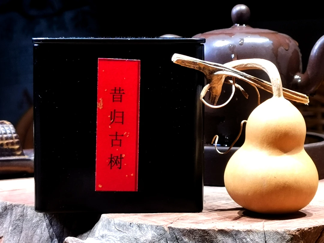 【2023昔归古树秋普洱生茶40g】散茶蜜香强劲,持久回甘生津饱满丰富