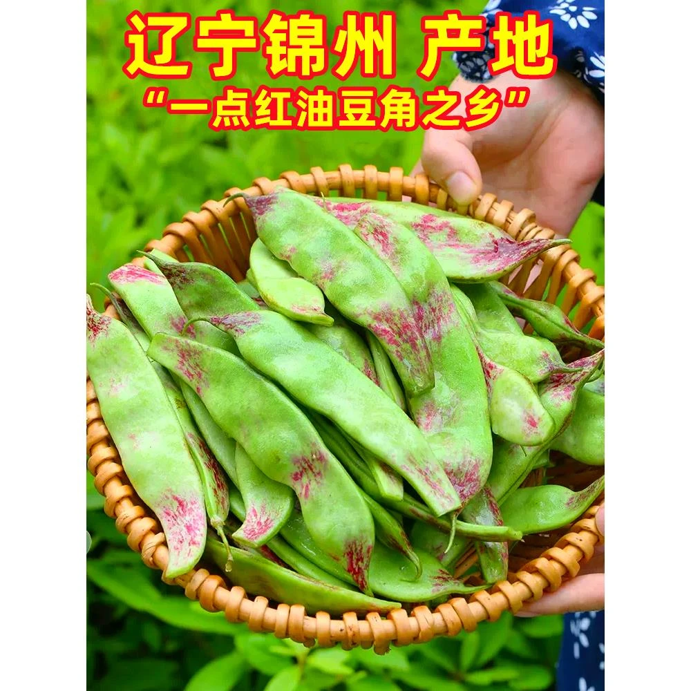 【包邮】东北油豆角现摘新鲜黑龙江一点红油豆角整包邮