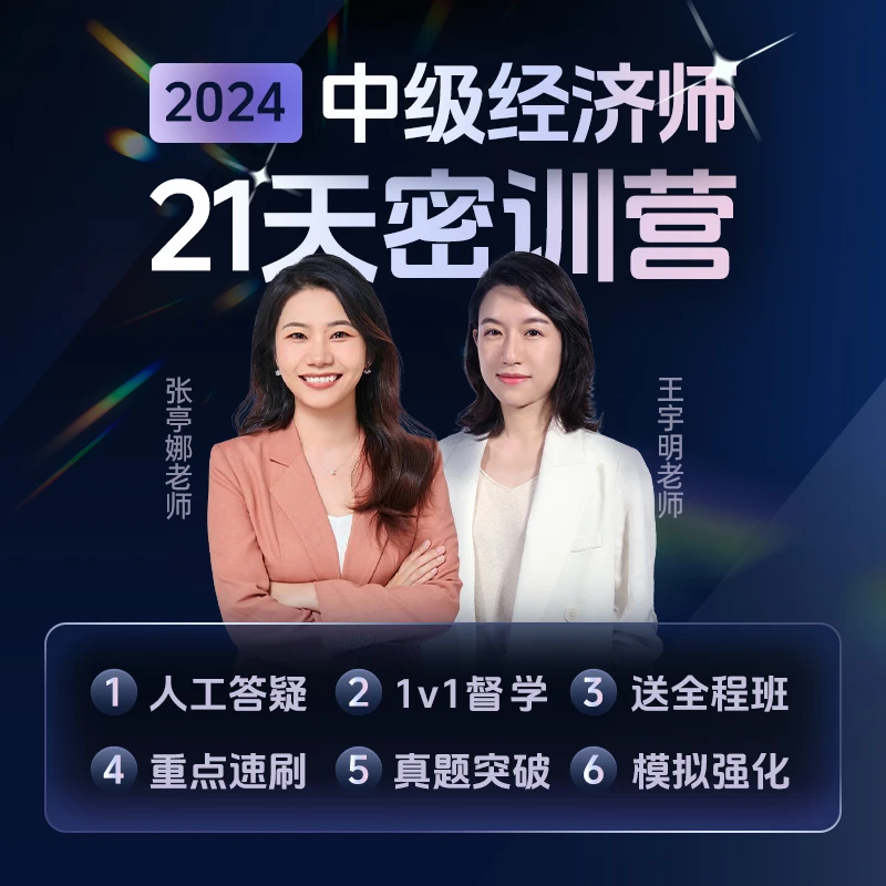 斯尔教育2024中级经济师考试课程教材真题模拟网络课程21天密训营