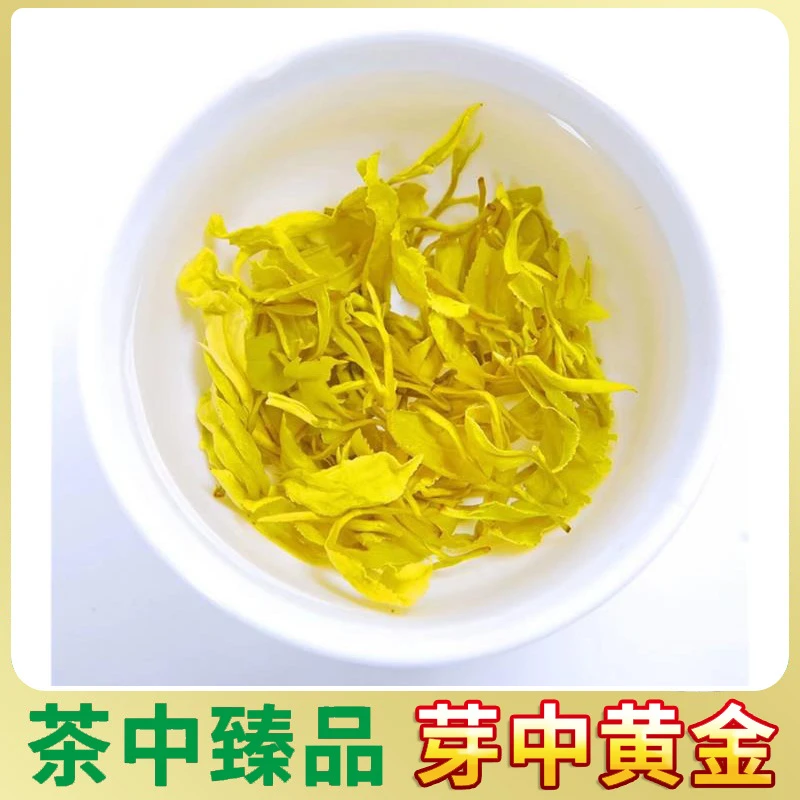 溪龙春季手工黄金芽【老母鸡汤香】鲜