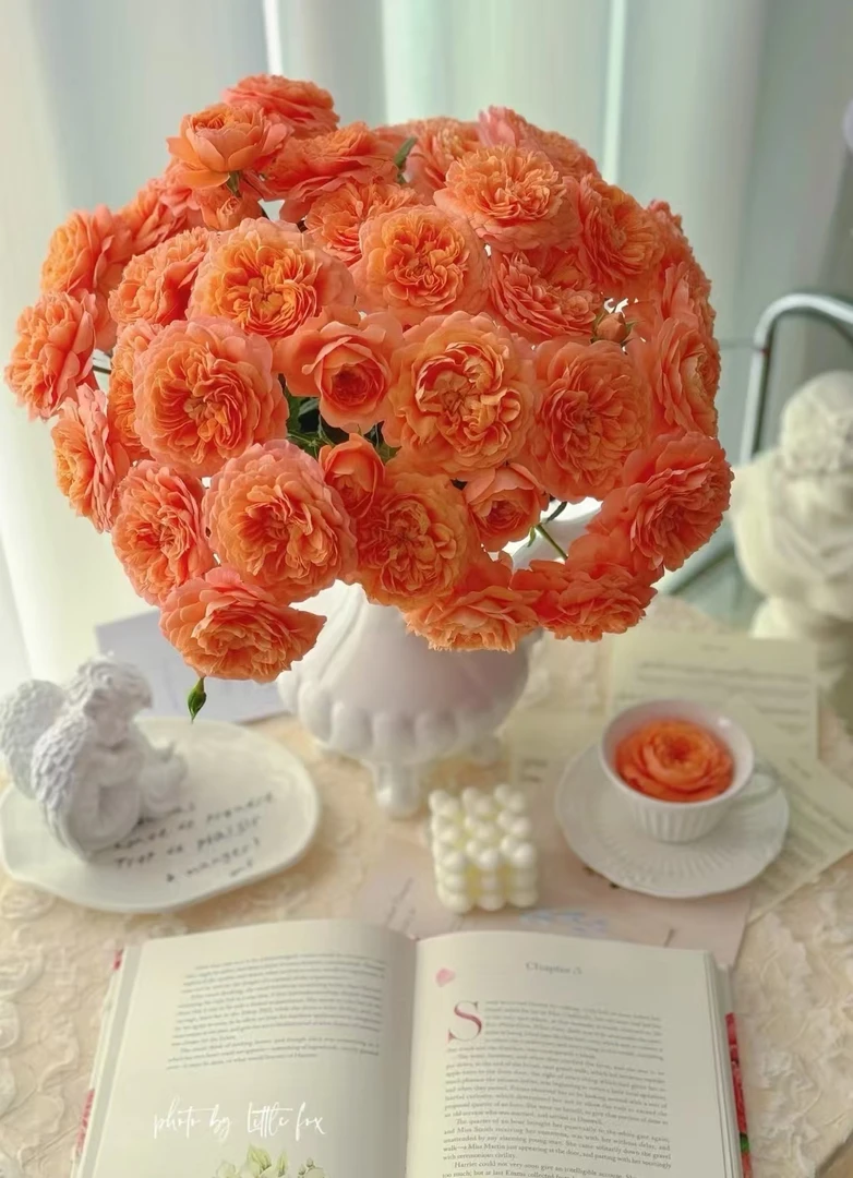 【杏色果汁】10枝稀缺多头玫瑰|全场任意满两单鲜花包邮