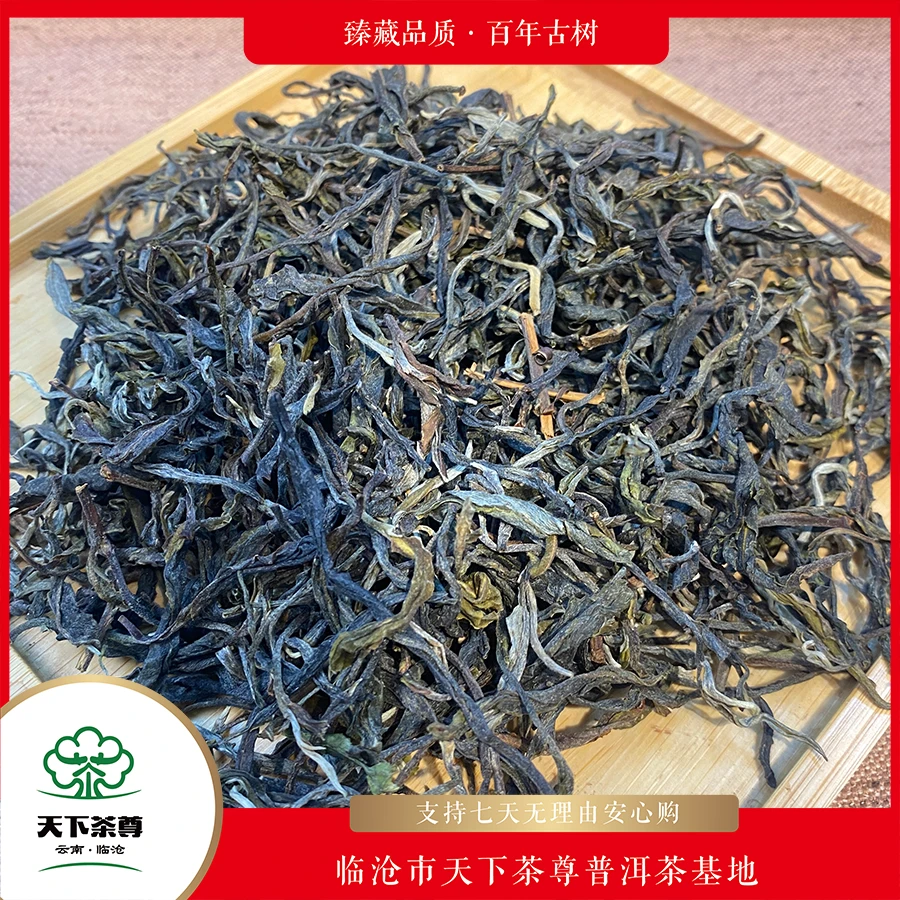 【天下茶尊】2024年弯弓茶王地古树/500g