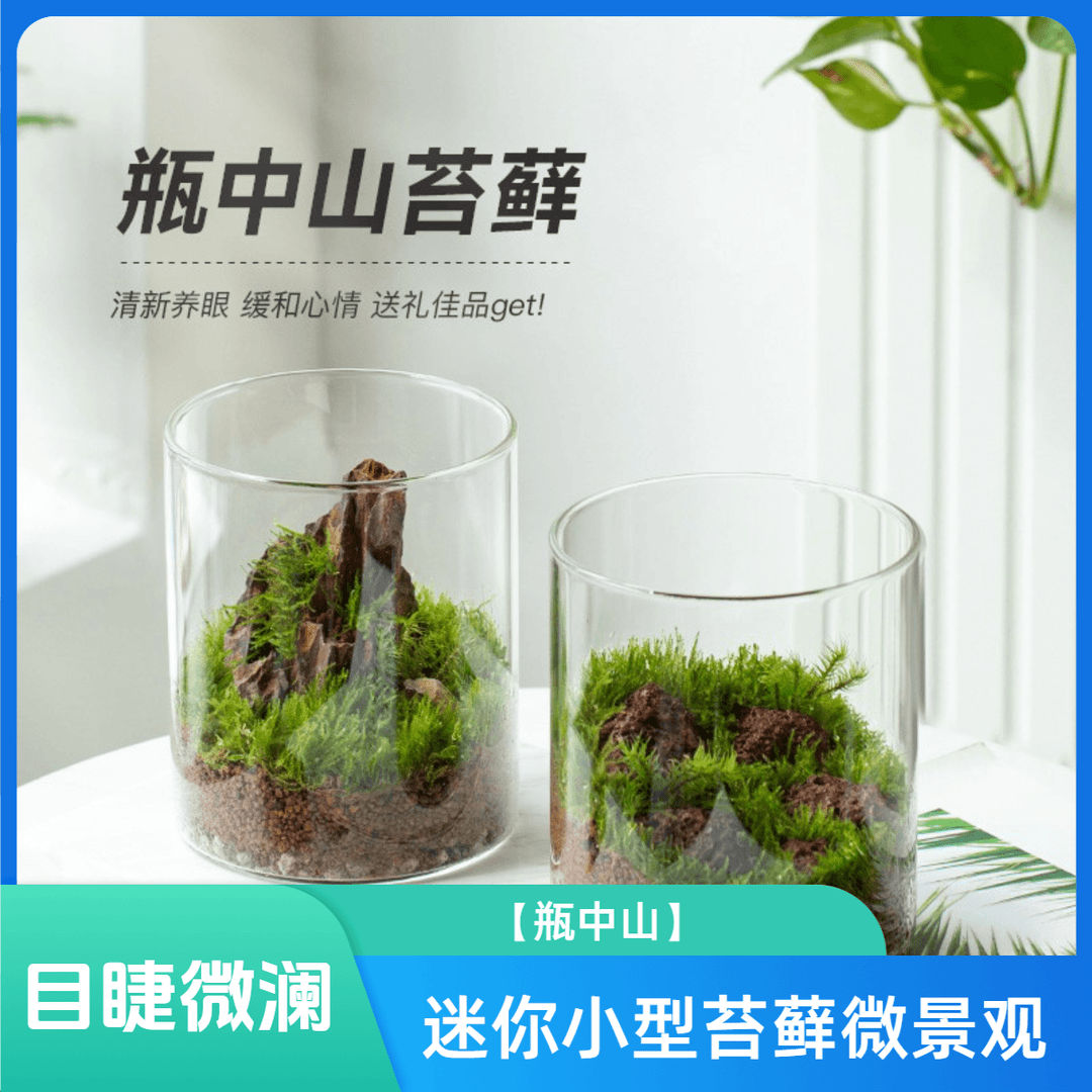 目睫微澜【瓶中山】迷你小植物小型盆景栽青苔生态微景观创意造景