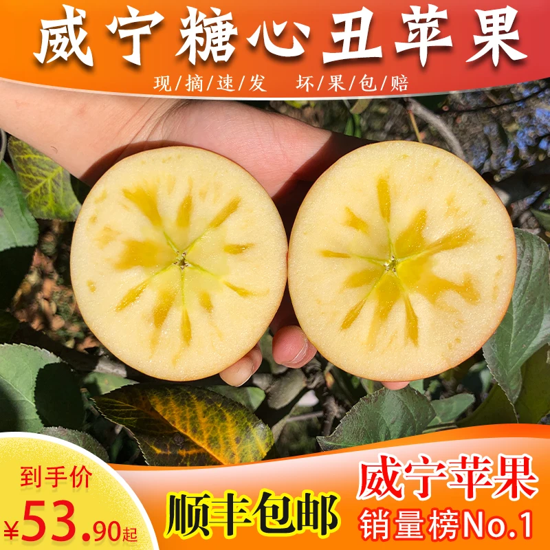 正宗贵州威宁冰糖心高原丑苹果当季新鲜脆甜整箱12斤装包邮野苹果