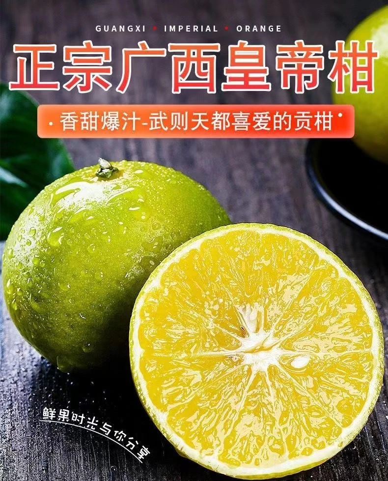 广西武鸣皇帝柑5/8斤新鲜采摘 广西皇帝柑成熟皮薄多汁