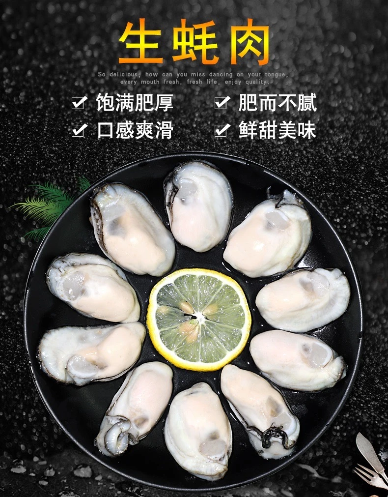 速冻新鲜 生蚝肉 连云港发货