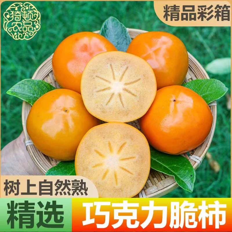 【冰糖心脆柿】正宗阳丰脆甜柿子2斤-5斤 新鲜水果柿子脆甜多仓发货