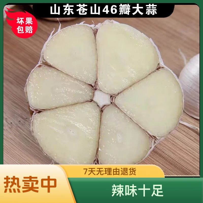 山东苍山四六瓣精选白皮大蒜蒜味浓郁饱满可种植