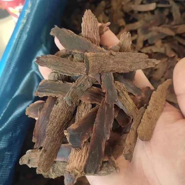 《制在严选》长白山黑参皮250g