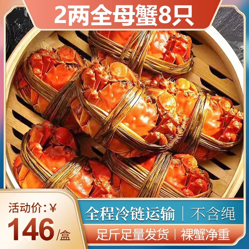 8只全母蟹2两无绳净重精品鲜活大闸蟹礼盒装