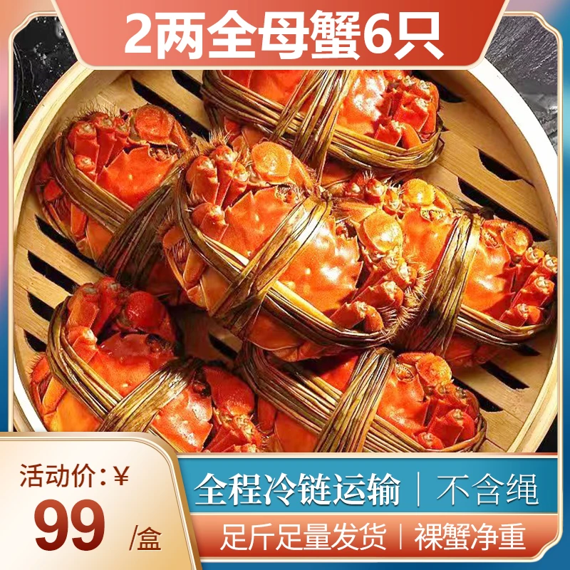 尝鲜【6只全母蟹2两】无绳净重鲜活大闸蟹礼盒装