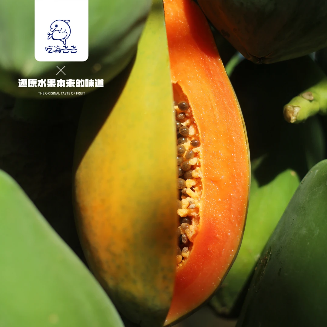 吃海芒芒海南三亚 树上熟红心牛奶木瓜 5斤装 顺丰陆运