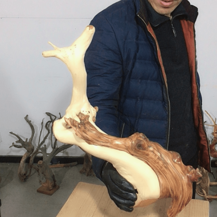 【闪购商品】崖柏根雕闻**香