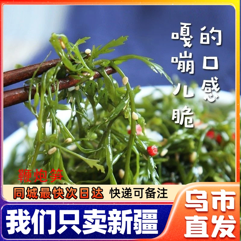 新疆包邮盐渍马尾藻鞭炮笋海草羊栖长寿凉拌菜麻辣烫火锅配菜