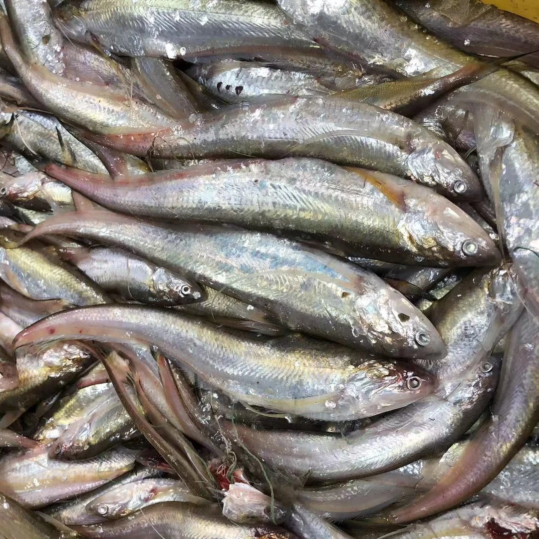 吕四海鲜 杂鱼详情直播间2