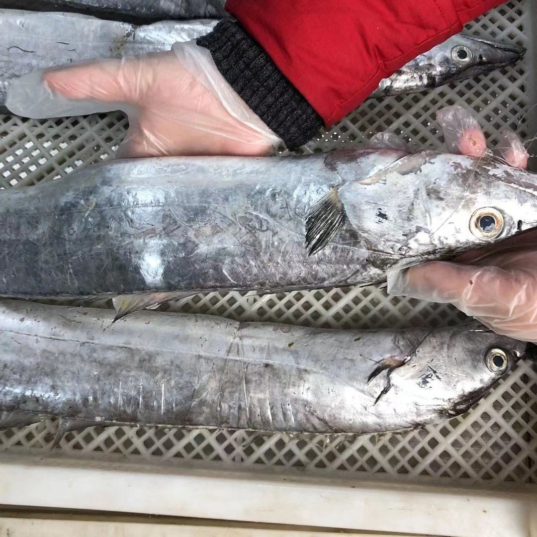 吕四海鲜   油带鱼/老鹰带  冷冻  顺丰发货