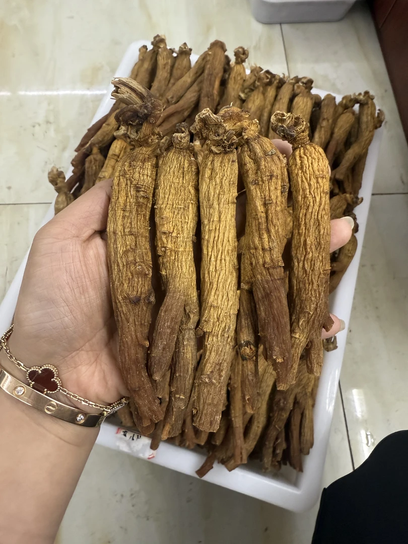毳森【集安边条红参】下山货红参 足六年根红参