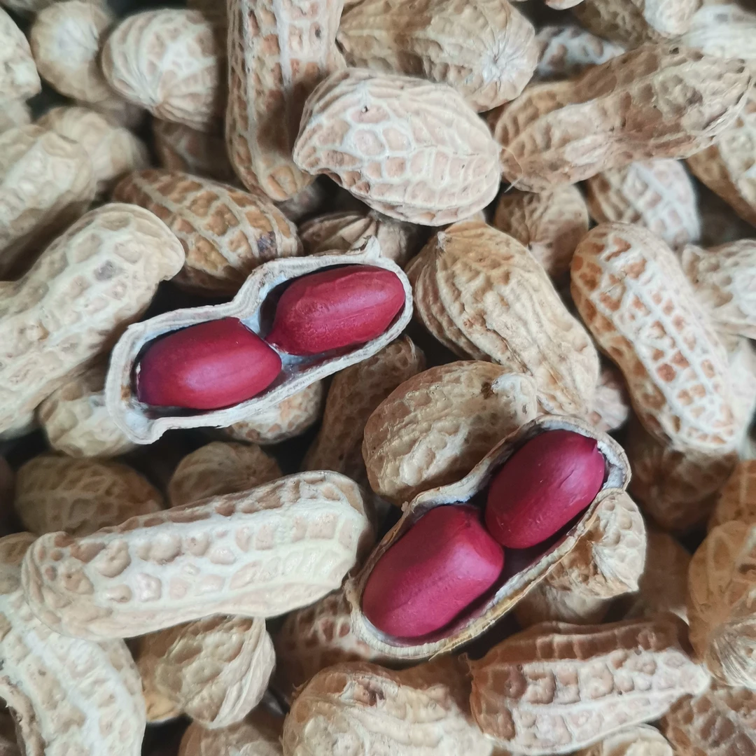 湖南郴州农家生红皮花生不剥壳3斤