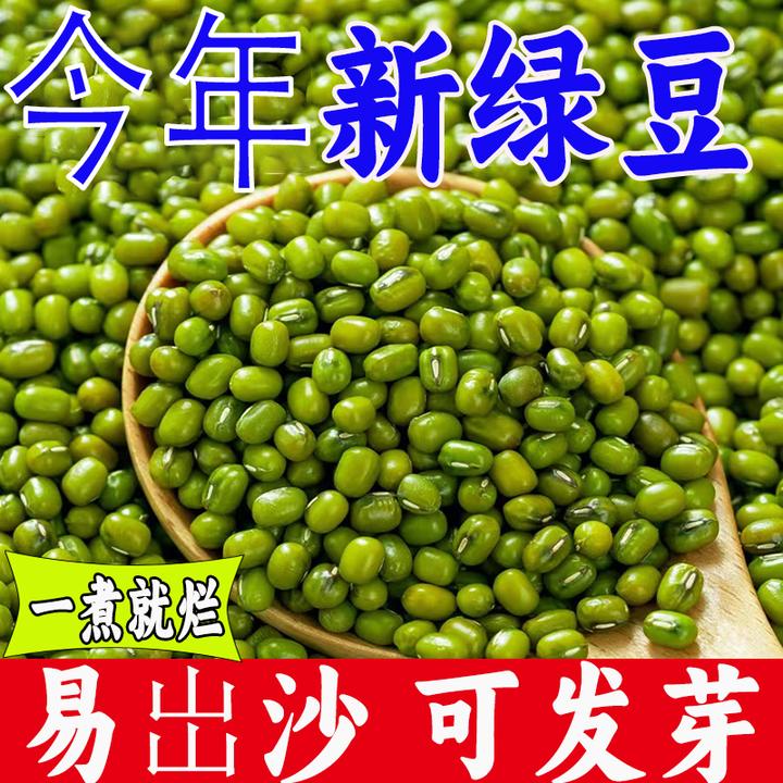 新鲜绿豆发芽绿豆笨绿豆农家自产五谷杂粮煮粥夏天薄皮饱满夏日