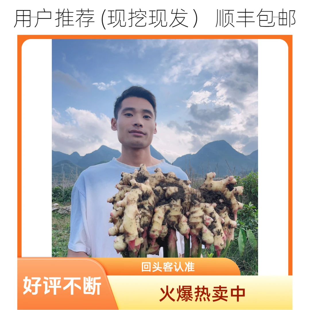 贵州镇宁正宗原产地高品质二黄姜（顺丰包邮）火爆热卖中