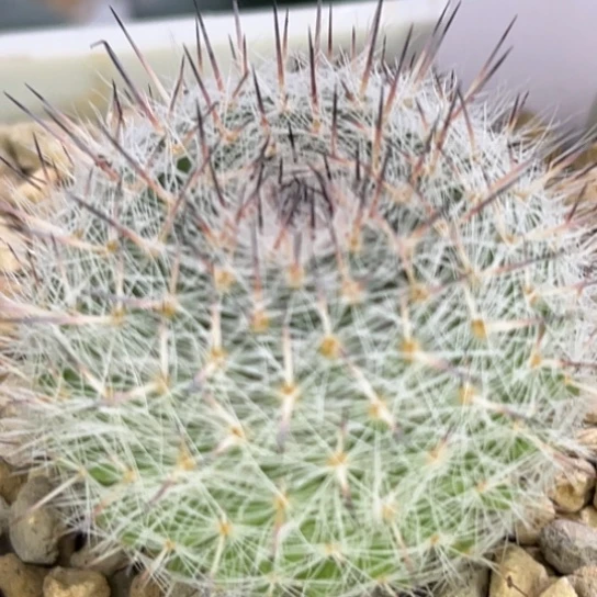 80脱土发货11111111