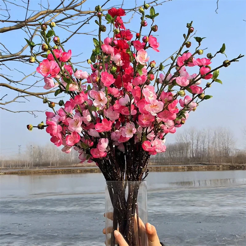 【春节开花】干枝红梅遇水开花带花苞好养装饰红梅花枝耐寒好养新年