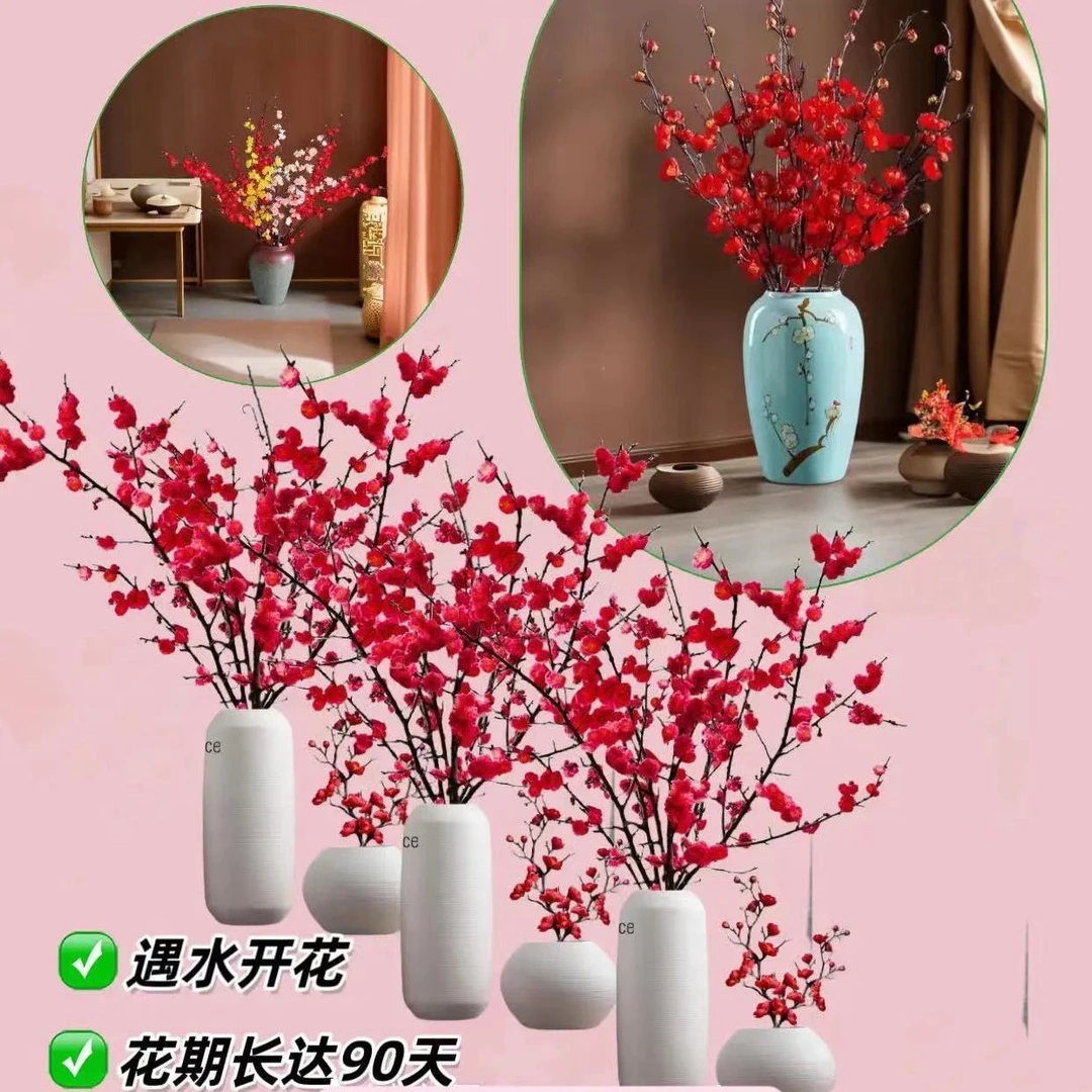 红梅遇水开花超长飘香带花苞红梅花枝耐寒好养年宵花