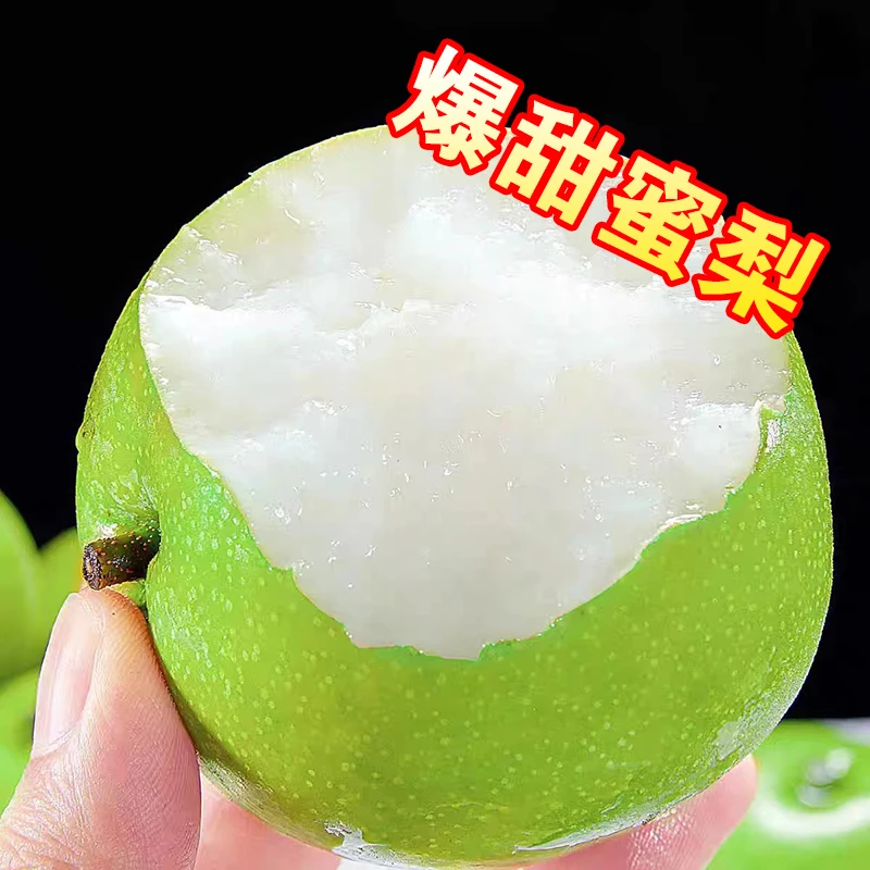 【精选砀山青皮梨】新鲜梨子3斤新鲜脆甜多汁梨爽脆梨细腻皮薄汁水
