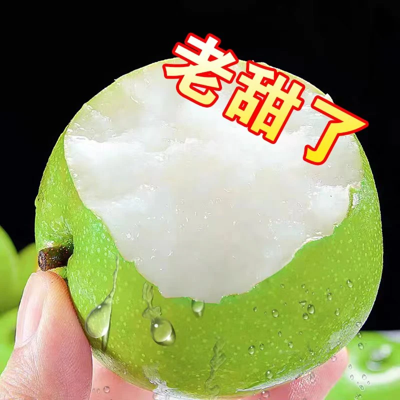砀山青皮蜜梨脆甜无渣汁水新鲜水果梨砀山脆甜梨脆甜多汁