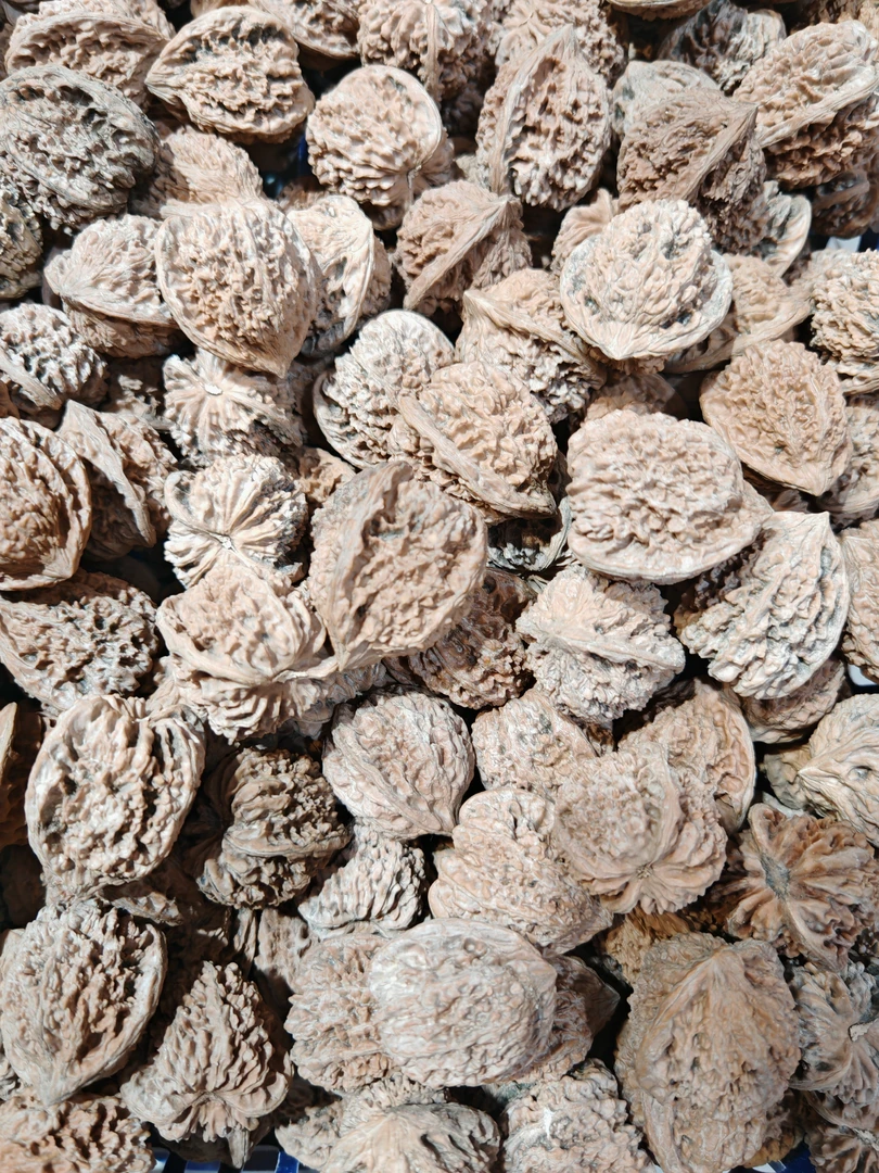 文玩核桃福利大放送