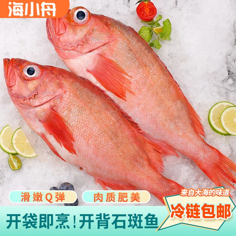 新鲜大眼红石斑鱼 开背 500-600g/左右*4条鲜活速冻海鲜