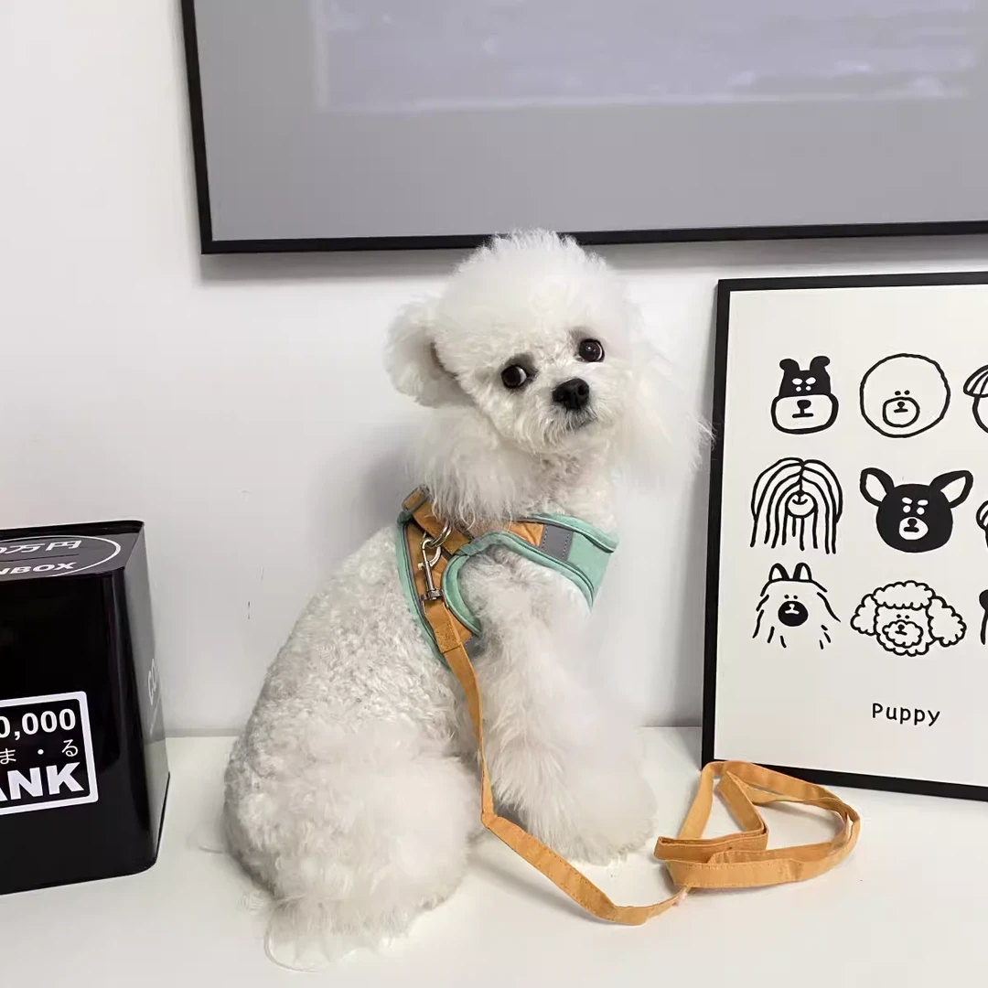狗狗绿橙色牵引绳背心式小型幼犬泰迪比熊博美胸背带狗链子遛狗绳