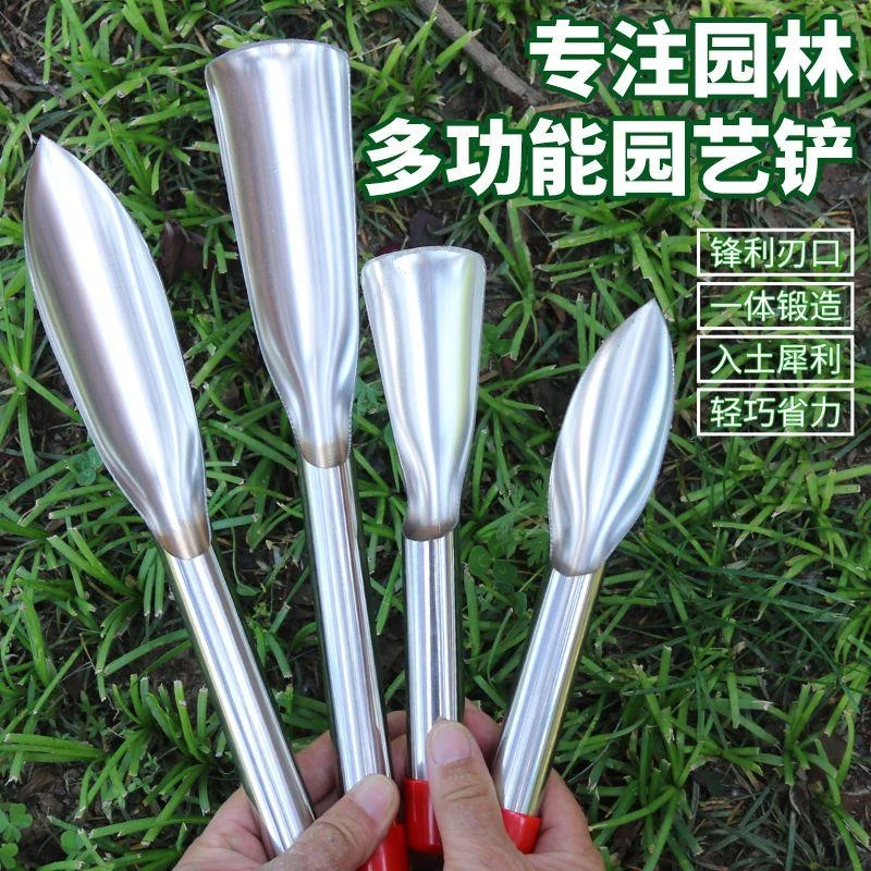 挖荠菜挖蒲公英挖蒜铲子农用挖野菜拔草工具种花种菜不锈钢小铲子