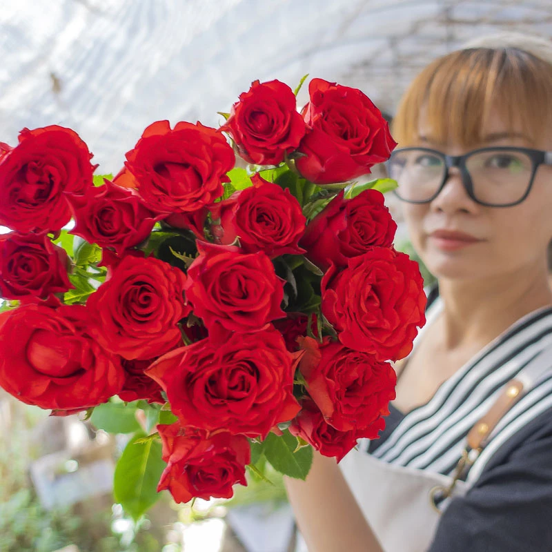5件1个运费自选顺丰云南鲜花康乃馨浪漫多头玫瑰花腊梅高原红爱莎