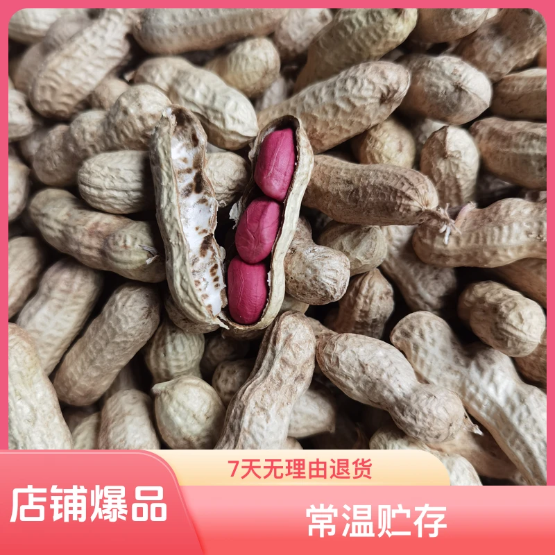 2025年新货红米花生干货带壳花生3斤/装