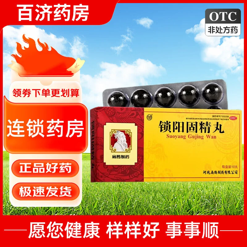 向前锁阳固精丸 9g*10丸 遗精早泄补肾虚肾阳不足温肾固精补肾药