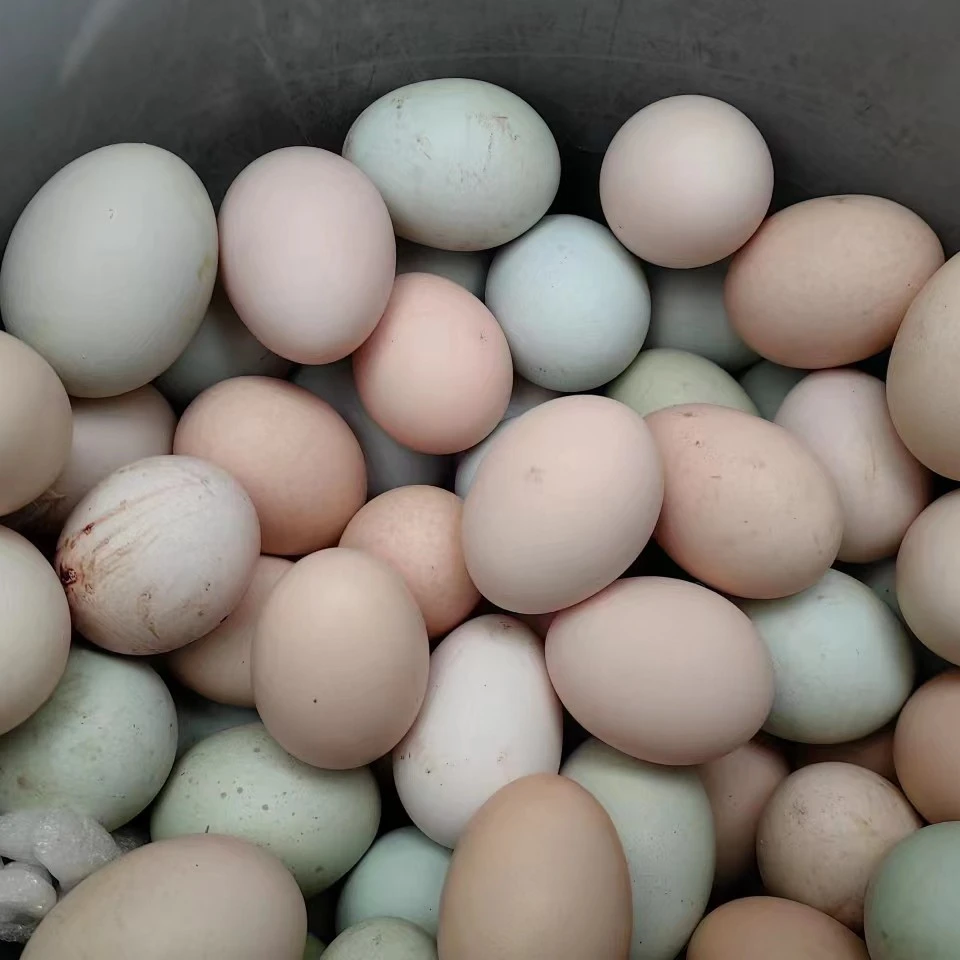 【砍大农场】顺丰发货 满山跑的鸡下的蛋，一箱30个